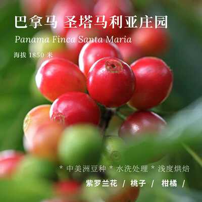 AC圣塔马利亚中美洲水洗咖啡豆