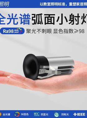 射灯嵌入式小钻孔5cm聚光迷你小射灯小孔径3cm4公分酒柜led展柜灯