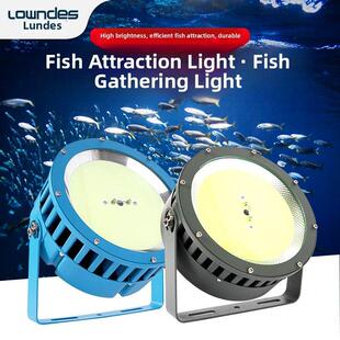 欧阳诱鱼灯，集鱼灯，船钓，海钓筏钓灯，户外防水海洋大功率1000