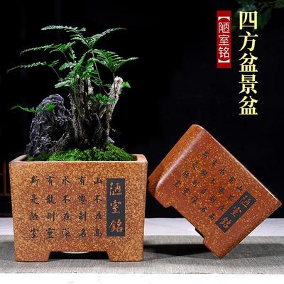 宜兴紫砂花盆四方盆景盆手工精品紫砂盆一颗印老桩绿植盆栽盆