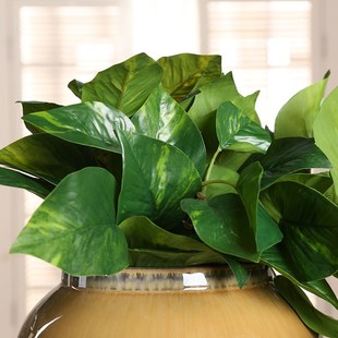 仿真藤条绿萝 饰花仿真绿色植物 仿真花壁挂假花植物墙家居装