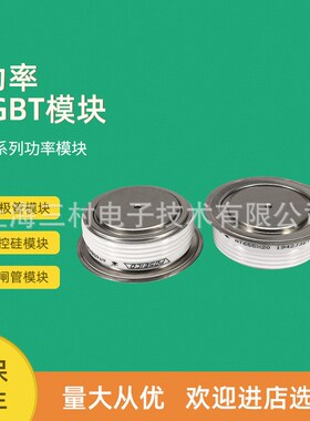 全新电子元器件平板晶闸管模块T648N12TOF T648N14TOF T648N16TOF