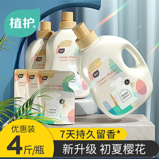 植护香水洗衣液整箱批家用香味持久留香补充袋实惠装 官方旗舰店