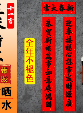 马年11言春节对联新款耐晒黑字自建房别墅农村大门装饰书法带背胶