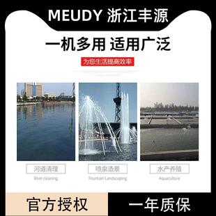 浙江丰源QD小型多级潜水电泵高扬程农用灌溉井用家用大流量抽水泵