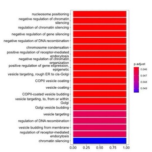 生信分析医学科研服务 生物信息学分析 单细胞测序转录组分析服务