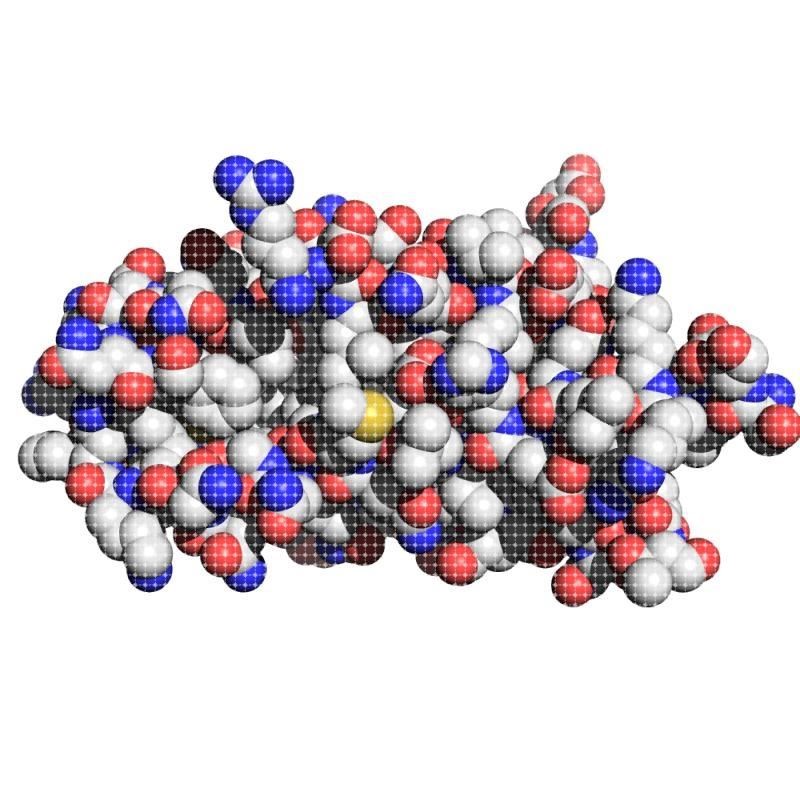 AlphaFold2构建蛋白PDB文件分子对接蛋白与小分子MD分子动力学模