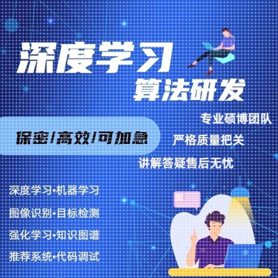 深度学习机器学习神经网络代做目标检测语义分割自然语言处理