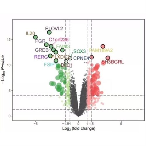 生信分析空间转录组服务geo数据挖掘单细胞GBD数据TCGA网络药理学