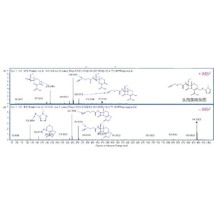 LCMS检测 液相质谱分析检测 药物杂质降解产物中药代谢物代谢组学