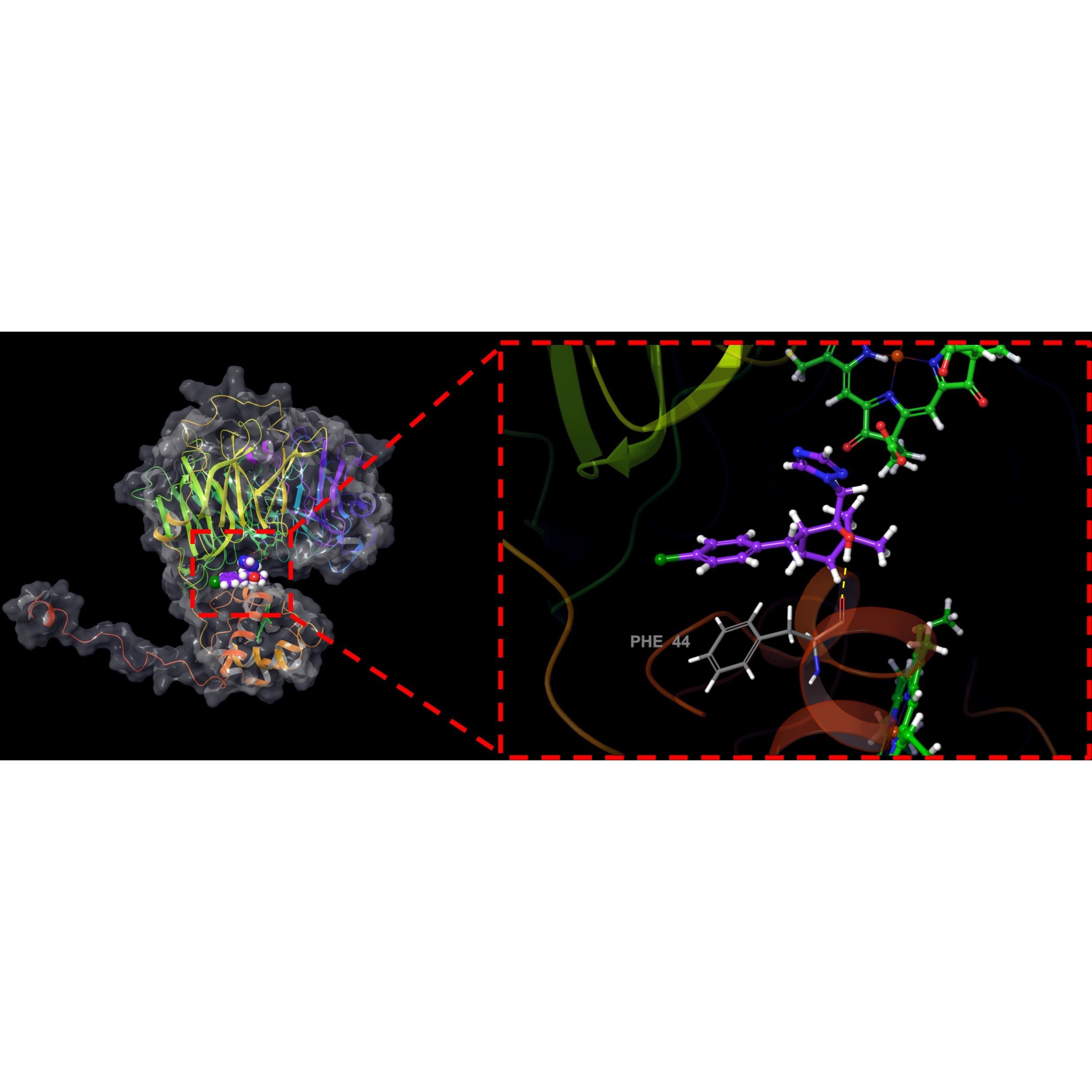 清北博士团队虚拟筛选/分子对接/蛋白对接/网路药理学/动力学模拟