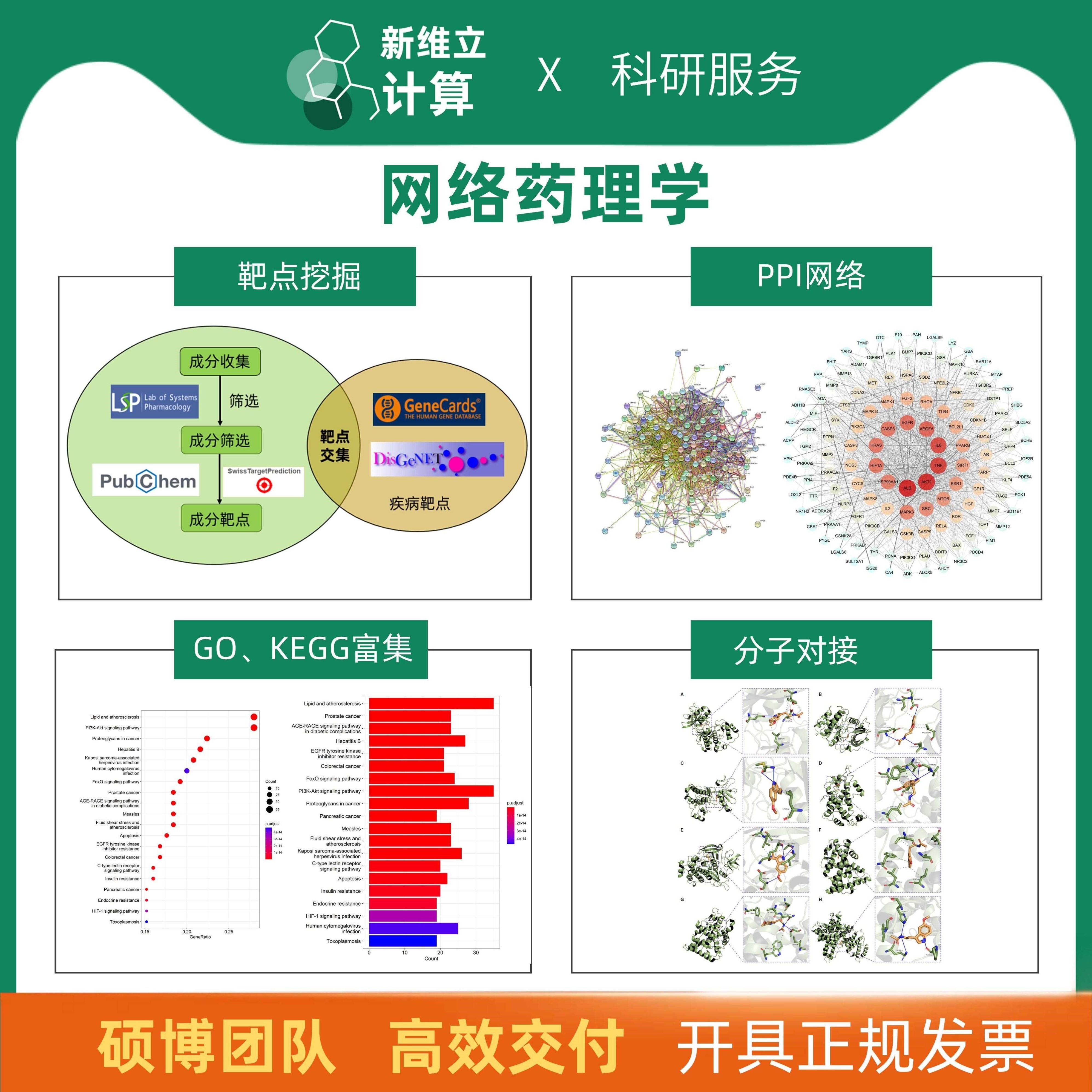 分子对接 分子动力学模拟 虚拟筛选 网络药理学 批量对接