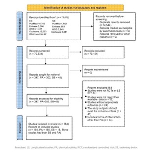 科研绘图封面通路生物材料医学结构SCI作图机制图子刊一区核心