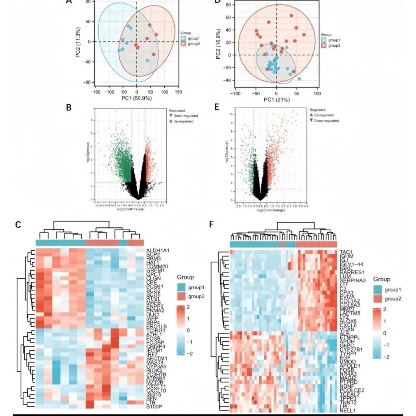 火山气泡柱状GSEA曲线图生信分析作绘图定制数据报告科研文章制图