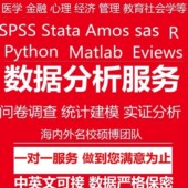 SPSS数据分析sas医学stata金融实证eviews计量R调查问卷meta代做