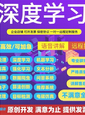 python代编程深度学习机器学习算法程序指导代码调试爬虫目标检测