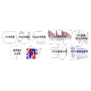 生信分析GEO,TCGA,GSEA,WGCNA,KEGG差异基因通路富集网络药理PPI