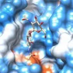 分子对接、虚拟筛选