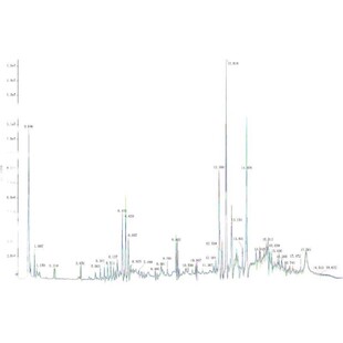 质谱检测数据分析服务、代谢组学服务、蛋白组学服务、教学培训服