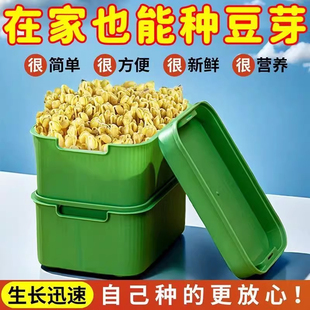 豆芽机家用发豆芽神器食品级发绿豆芽懒人豆芽菜发芽盆种植箱 新款
