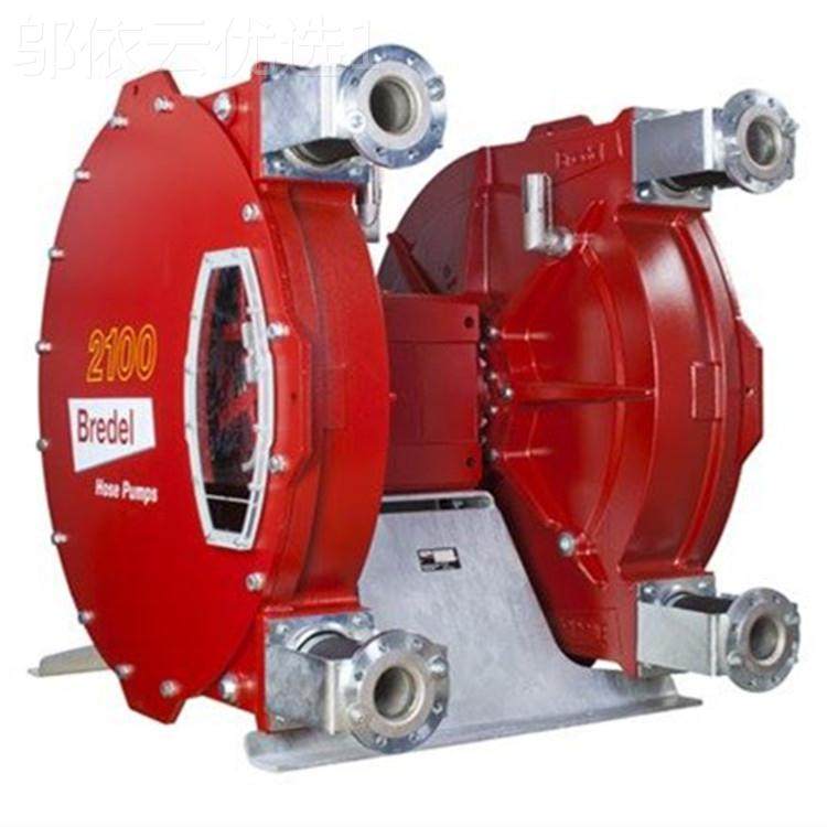 BEELB软管泵redDelRSDM 10