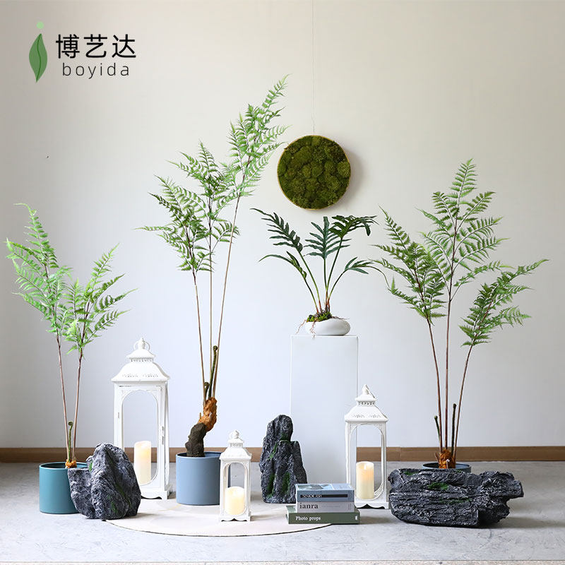 仿真绿植蕨叶树金丝猴蕨简约装饰家居室内橱窗落地盆栽植物摆件