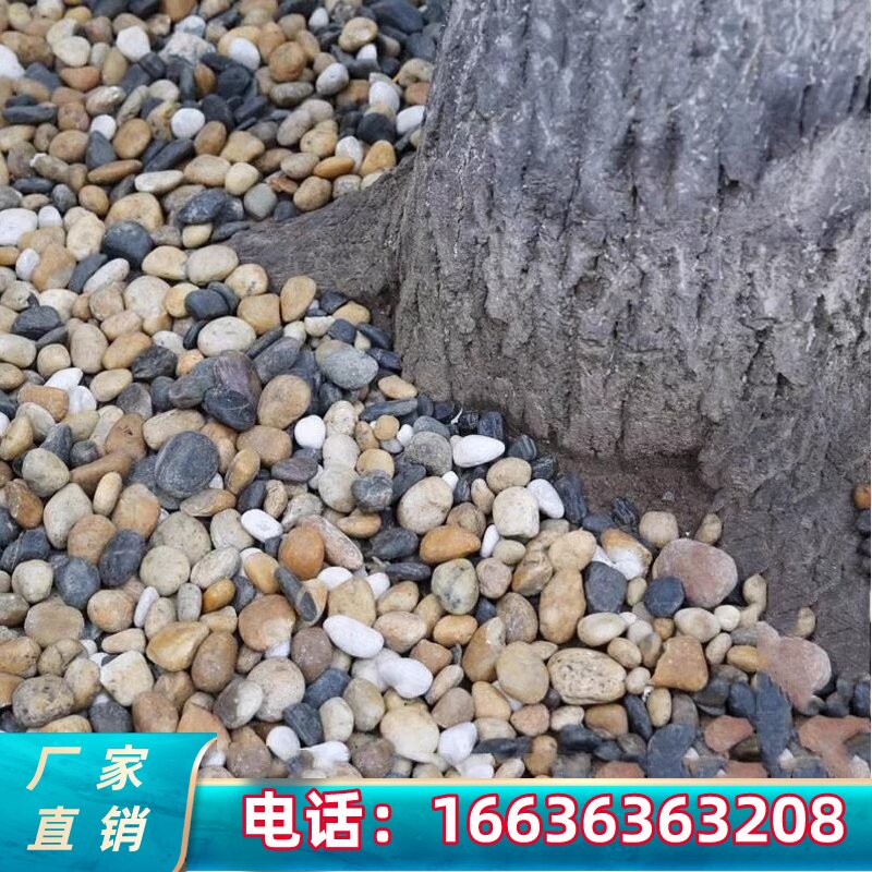 北京天然豆石家装鹅卵石铺路地暖专用豆石找平回填石子滤料水处理