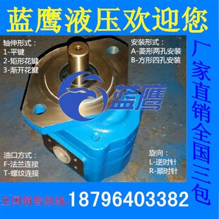 4160 4150 4170 4180 4200长江型齿轮油泵A1FR CBY4125 4190 4140