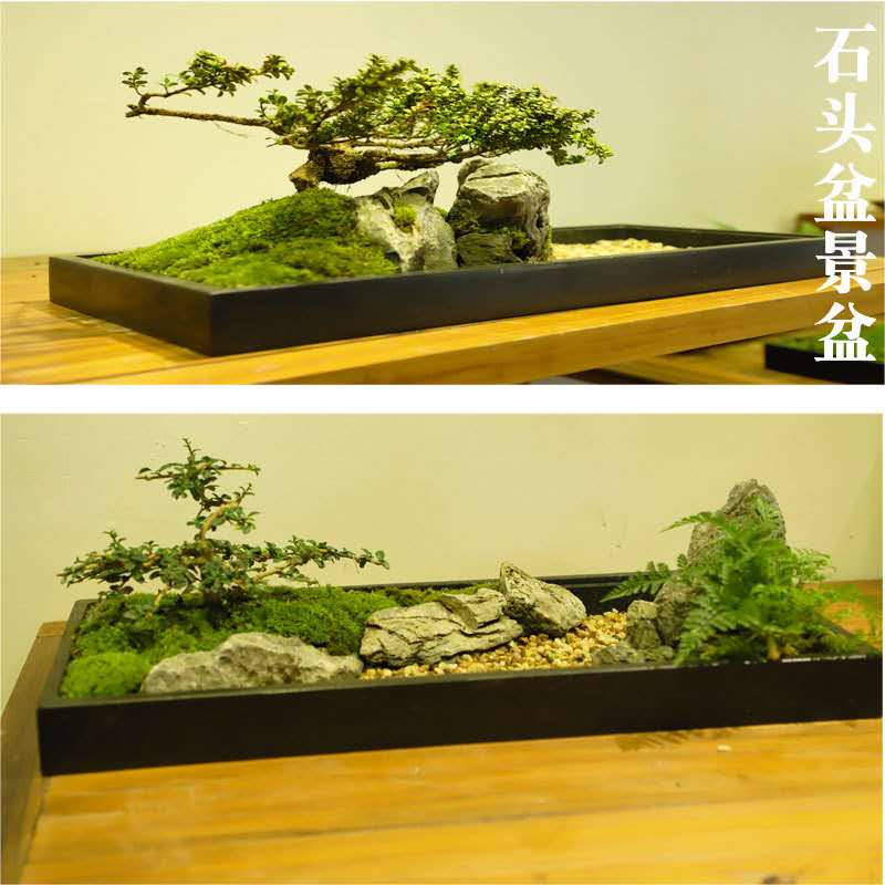 乌金石盆假山吸水石石头花盆创意微景观天然石头盆景山水盆包邮