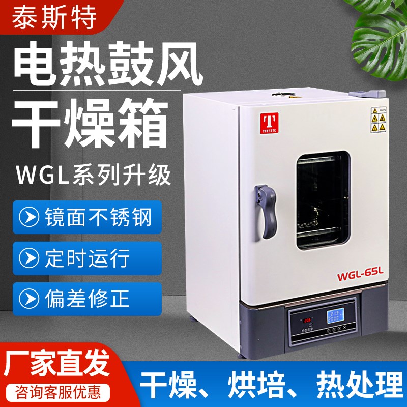 天津泰斯特WGL电热鼓风干燥箱300立式恒温烘箱实验室高温烘干箱
