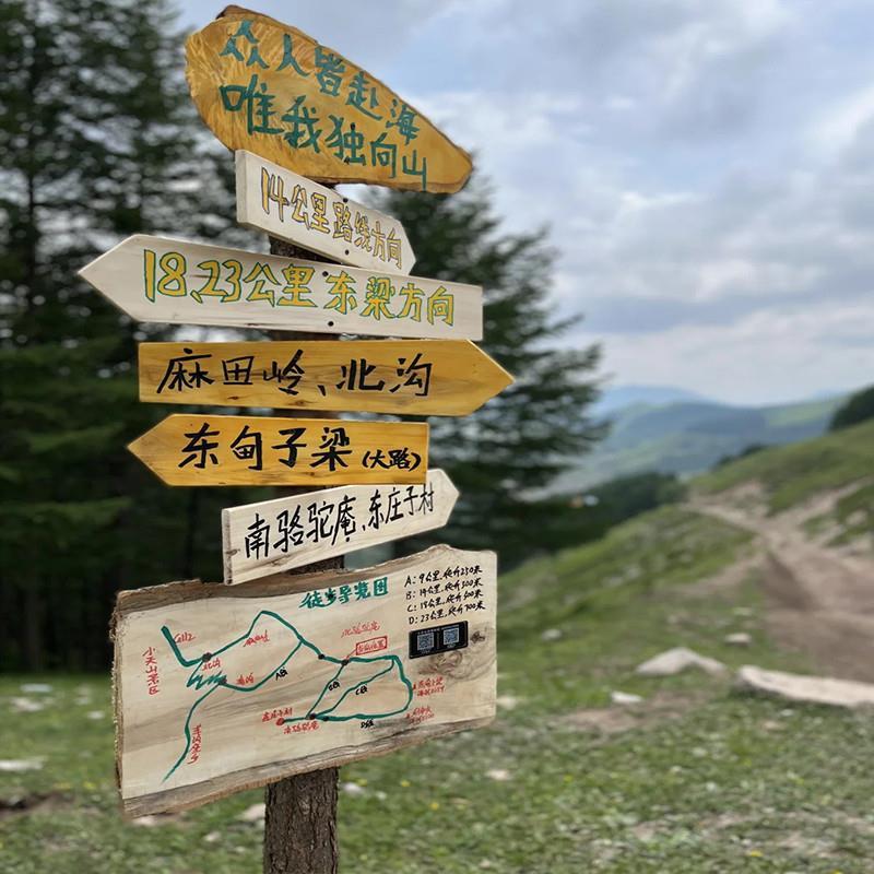 户外实木防腐指示牌网红景点打卡路牌木质导视牌复古木头引路路标