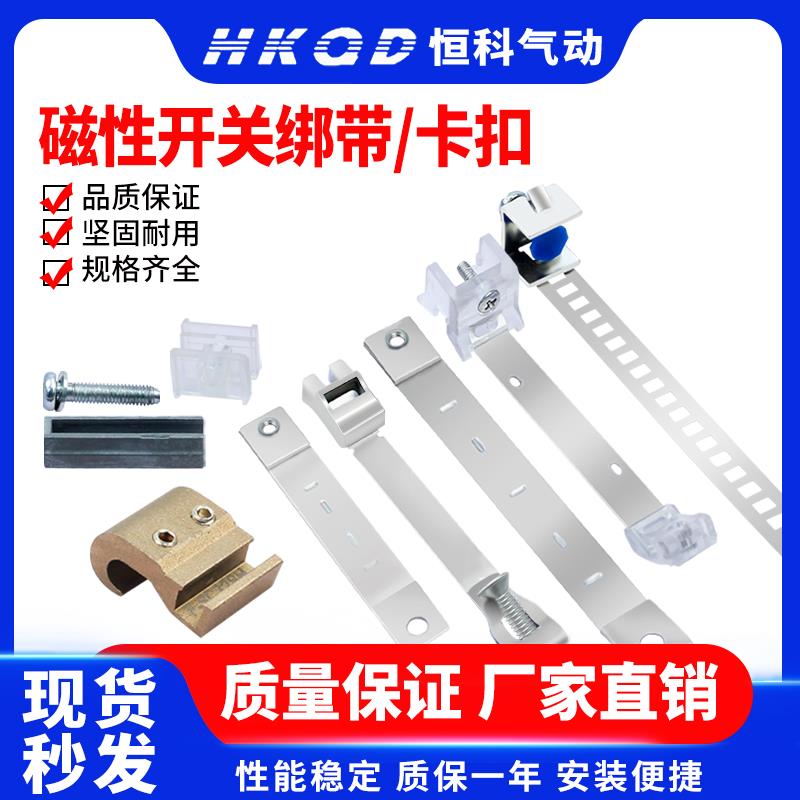 气缸磁性开关固定绑带卡扣 BJ2-010 BM2-010+BJ5-1 CS1-M F-MQS