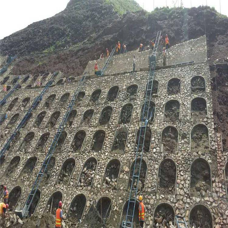 建筑提升机工程用机械爬山虎上料机高速公路护坡用