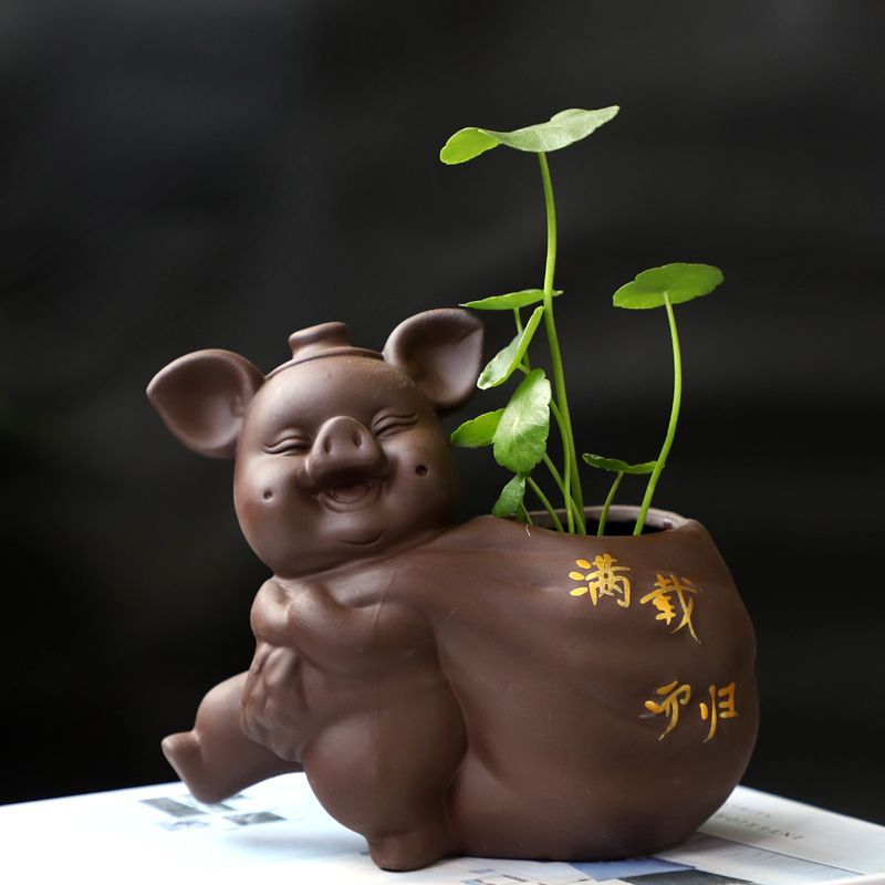 绿萝水培花瓶容器桌面无孔插花金钱铜钱草水养小猪小牛小花盆特价