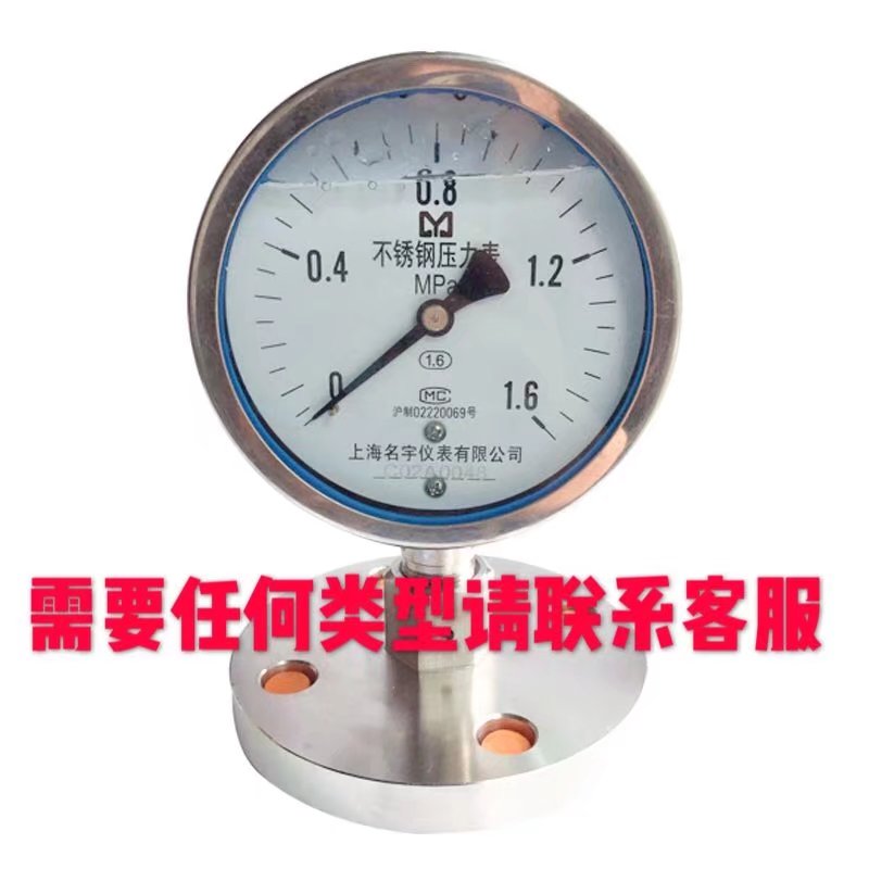 YN-100BF法兰不锈钢耐震隔膜压力表DN15/20/32/40/50/60抗震耐腐