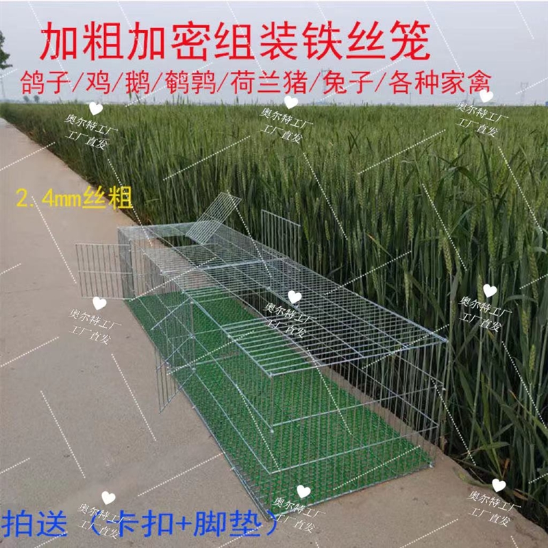 加粗兔笼兔子笼子鸽子笼家用养殖笼鸡笼镀锌铁丝笼运输特大号笼子
