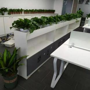 花槽柜屏风隔断矮柜文件子办公柜柜室多层绿植花架ZDU置物架柜隔