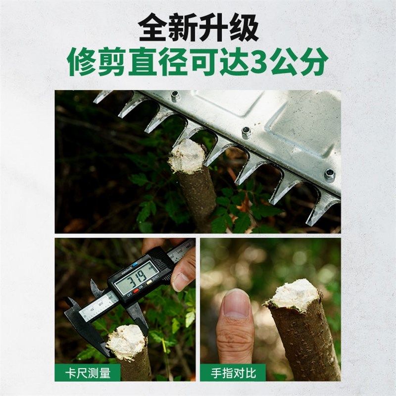 德国进口充电式锂电动绿篱机茶叶树球修剪机剪茶园林绿化背负大功