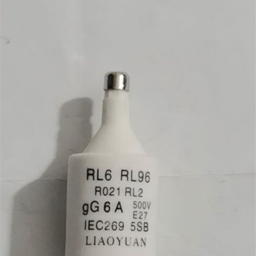 浙江燎原RO21(RL6-25)2-25A  R021(一盒20只)
