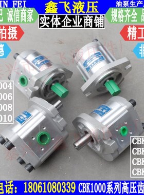 CBK1004 CBK1006 CBK1008 CBK1010高压齿轮油泵B2RF B1RT B1LT