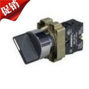 仿斯耐德款式上海淳博牌XB2-BD21 两档旋钮