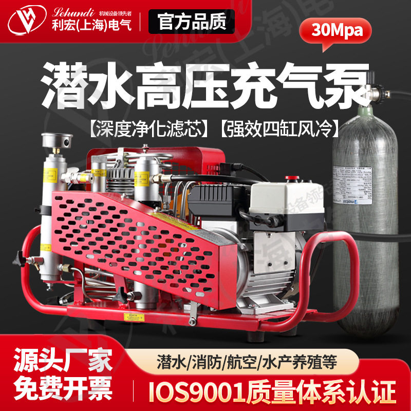 上海利宏高压充气泵空气压缩机消防潜水气瓶打气机30mpa工业测漏