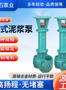 泥浆泵NL50-10立式无堵塞污水大流量液下排泥铸铁1.5kw泥浆排污泵