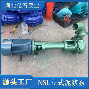 抗洪排涝清淤泥浆泵NSL吸沙泵 立式淤泥杆泵吸沙泵立式潜水泥浆泵