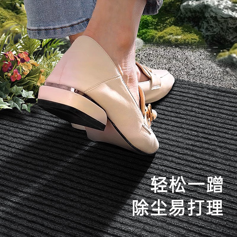 入户门口专用地垫进门玄关家用2025新款大门垫高级感耐脏防滑地毯