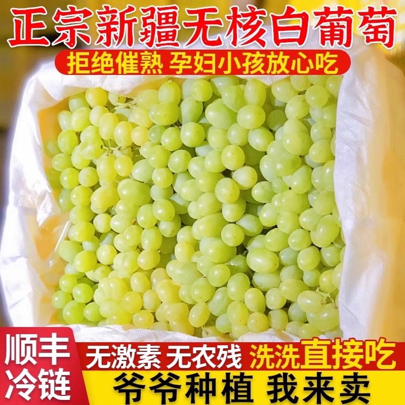 正宗新疆吐鲁番无核白葡萄新鲜当季水果孕妇绿小青提无籽包邮顺丰