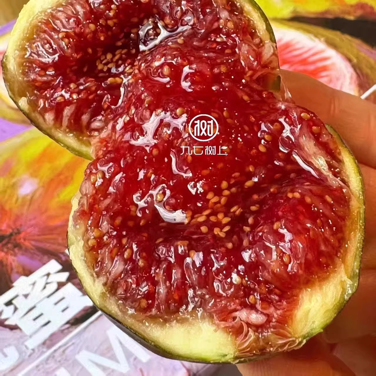 正宗云南格莱斯无花果当季新鲜水果软糯现摘树上熟糖包子顺丰78