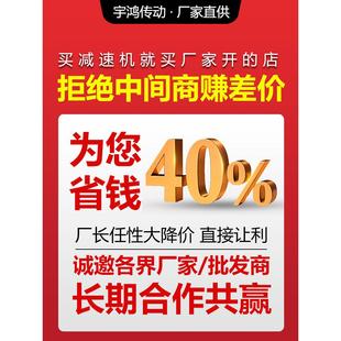 调速变频器单相全铜线减速机电机 BWD摆线针轮减速机家用220v卧式