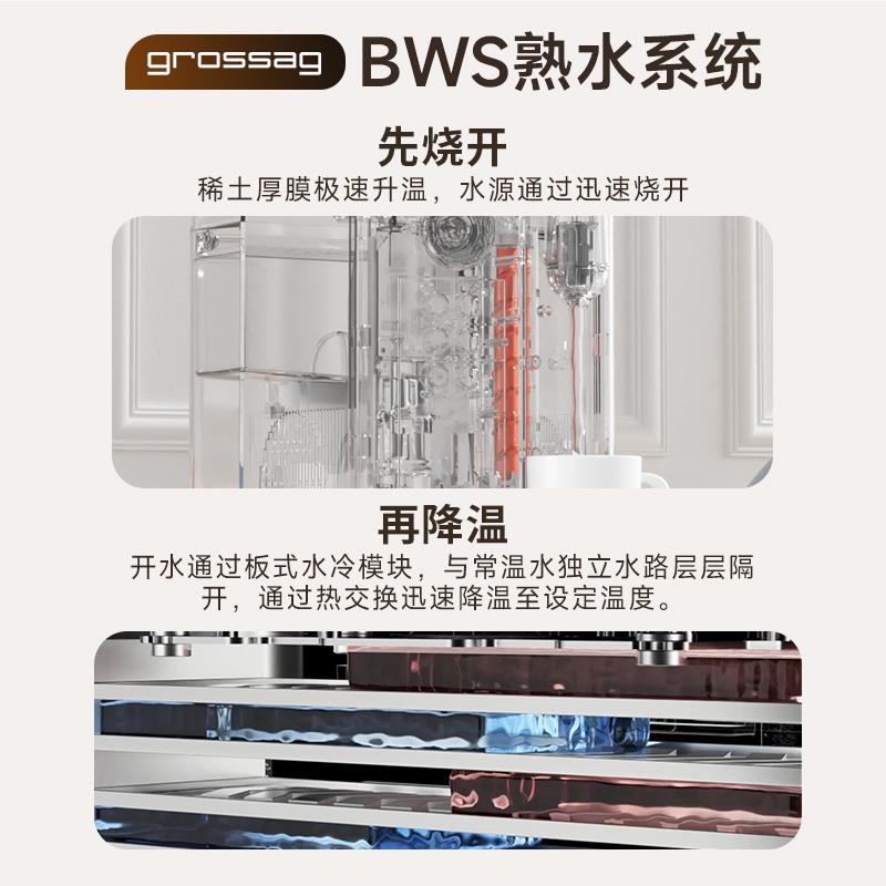 德国直饮熟水机即热式饮水机小型加热家用桌面台式凉白开饮水器