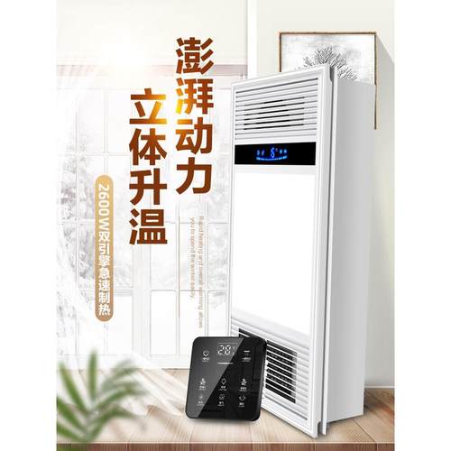 315*315x630来思奥集成吊顶浴霸风暖风机卫生间双电机超薄取暖器
